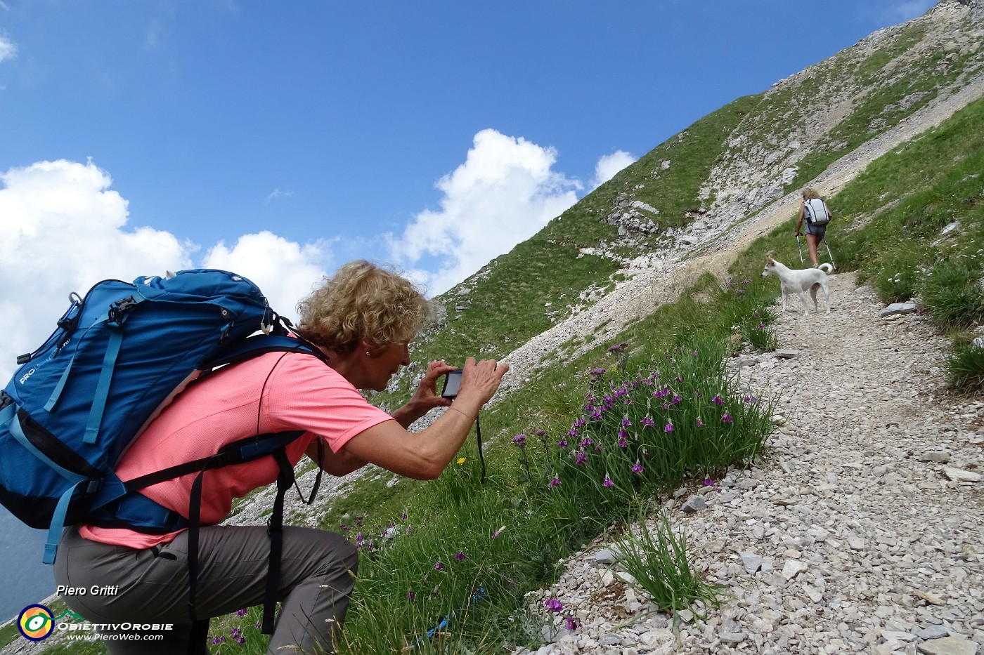 20 Fotografando Aglio d'Insubria (Allium insubricum).JPG -                                